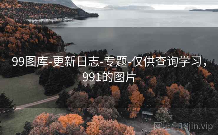 99图库-更新日志-专题-仅供查询学习，991的图片
