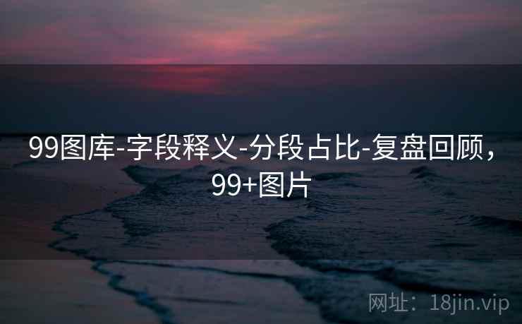 99图库-字段释义-分段占比-复盘回顾，99+图片